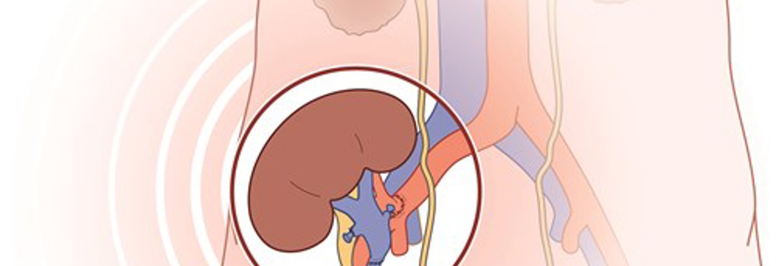 Boerhaave Continuing Medical Education